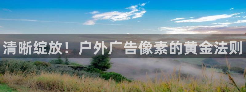 杏宇代理注册