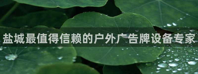 杏宇平台招商怎么样
