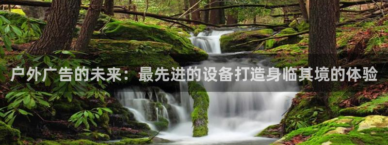 杏宇平台登陆