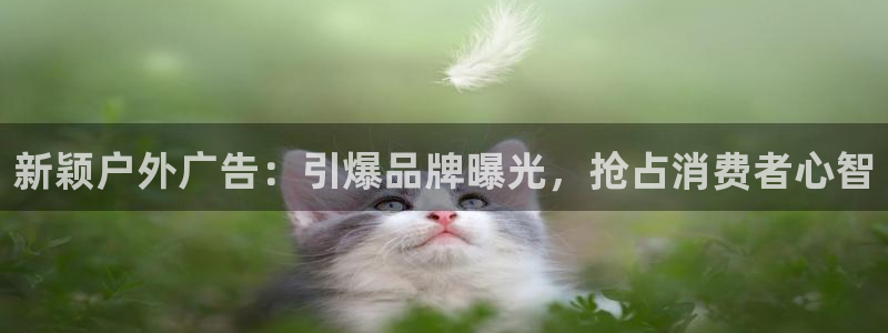杏宇平台代理怎么样啊