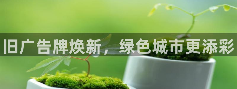 杏宇平台代理多少钱一个月