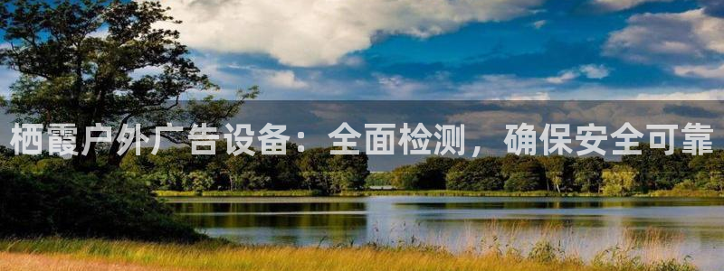 杏宇平台注册登录