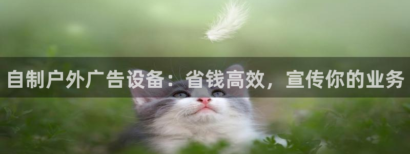 杏宇平台注册登录