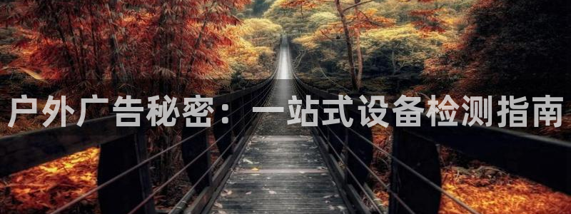 杏宇平台招商