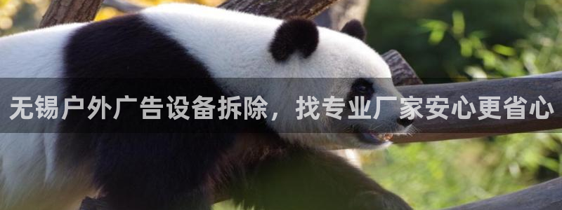 杏宇平台总代理电话