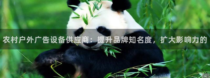 杏宇平台总代理：农村户外广告设备供应商：提升品牌知名度，扩大影响力的
