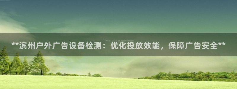 杏宇平台登录步骤图：**滨州户外广告设备检测：优化投放效能，保障广告安全**