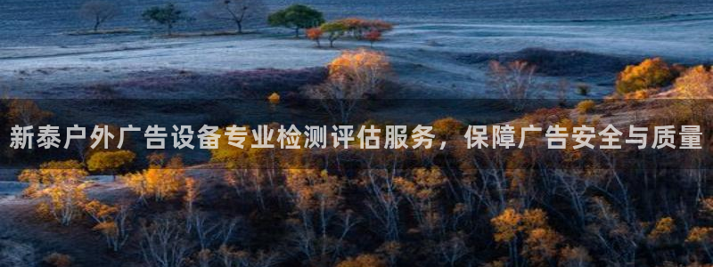 杏宇平台代理多少钱一个月：新泰户外广告设备专业检测评估服务，保障广告安全与质量