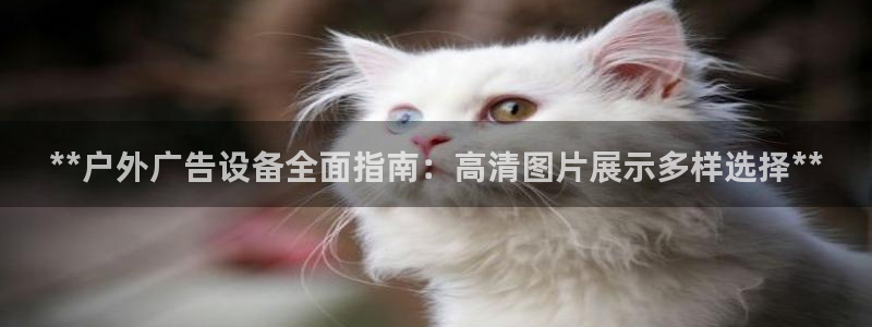 杏宇平台提现为什么这么久呢：**户外广告设备全面指南：高清图片展示多样选择**