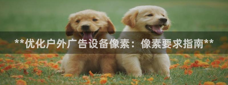 杏宇平台登录方法：**优化户外广告设备像素：像素要求指南**