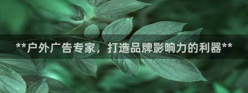 杏宇平台总代理电话：**户外广告专家，打造品牌影响力的利器**
