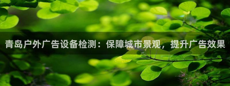 杏宇平台登陆：青岛户外广告设备检测：保障城市景观，提升广告效果