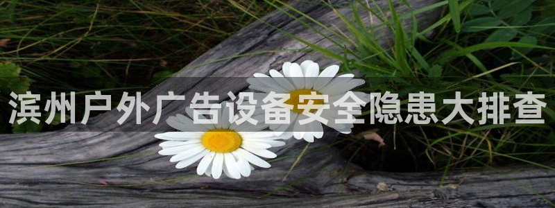 杏宇官方平台官网