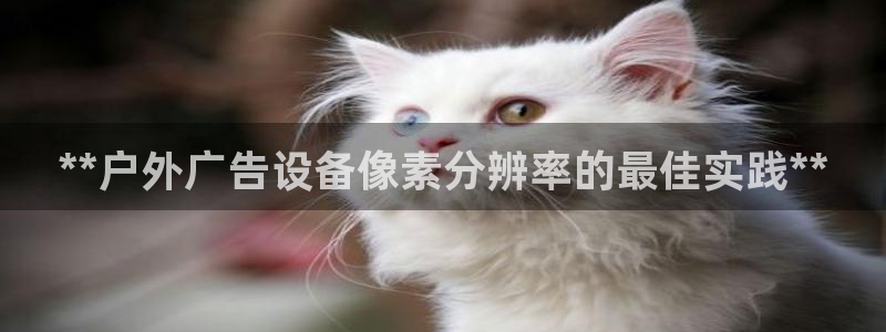 杏宇平台官网注册：**户外广告设备像素分辨率的最佳实践**