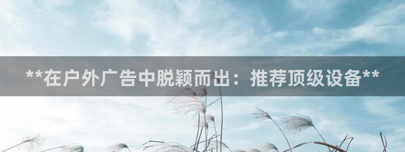 杏宇平台官网注册：**在户外广告中脱颖而出：推荐顶级设备**
