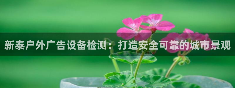 杏宇官方平台官网入口：新泰户外广告设备检测：打造安全可靠的城市景观
