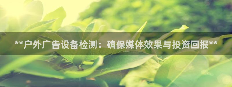 杏宇平台开户：**户外广告设备检测：确保媒体效果与投资回报**