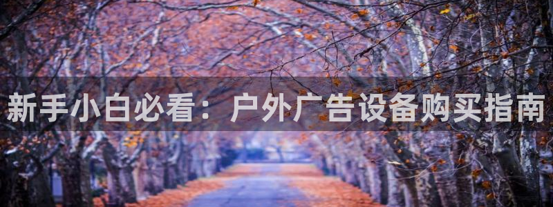 杏宇平台代理多少钱一次