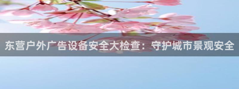 杏宇平台招商