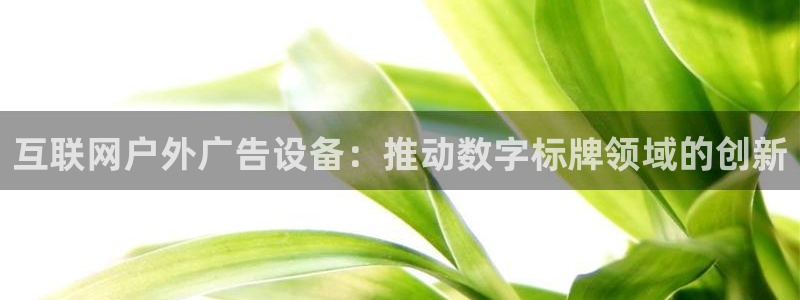 杏宇官方平台官网下载：互联网户外广告设备：推动数字标牌领域的创新
