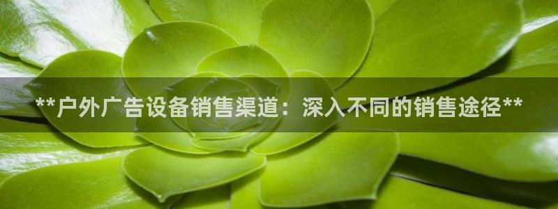 杏宇平台招商：**户外广告设备销售渠道：深入不同的销售途径**