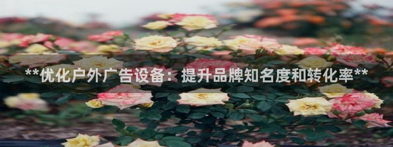 杏宇平台代理怎么赚钱的：**优化户外广告设备：提升品牌知名度和转化率**