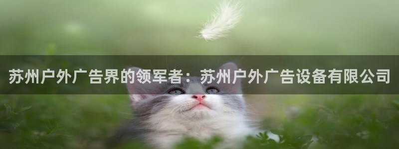 杏宇平台代理怎么样赚钱
