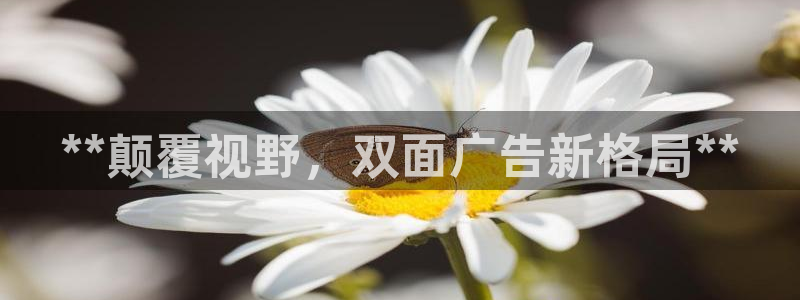 杏宇平台代理怎么赚钱快