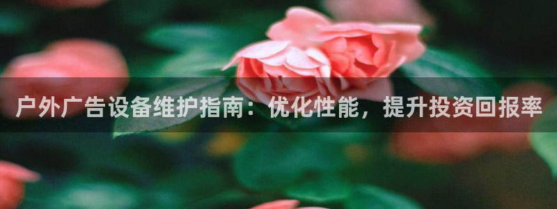 杏宇平台代理怎么赚钱的
