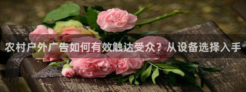 杏宇平台总代理电话