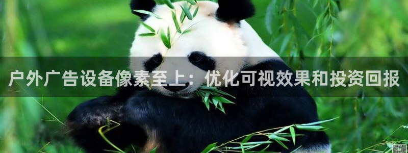 杏宇平台是什么