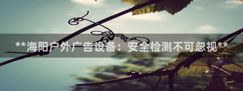 杏宇平台代理怎么样