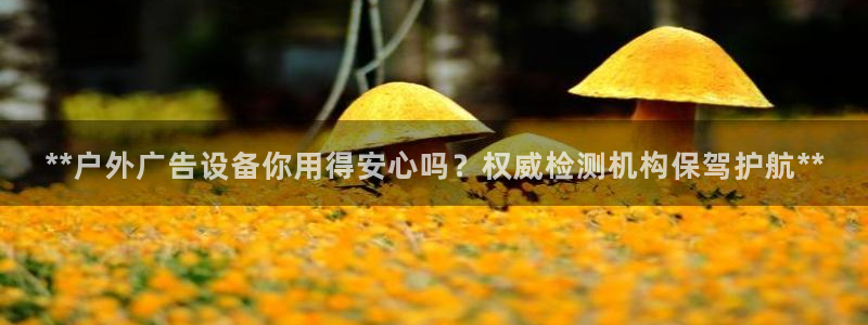 杏宇平台代理多少钱一次