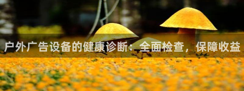 杏宇平台登录方法