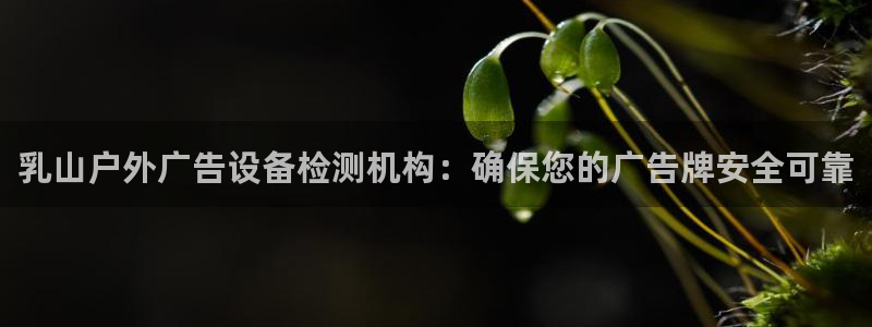 杏宇平台客服：乳山户外广告设备检测机构：确保您的广告牌安全可靠