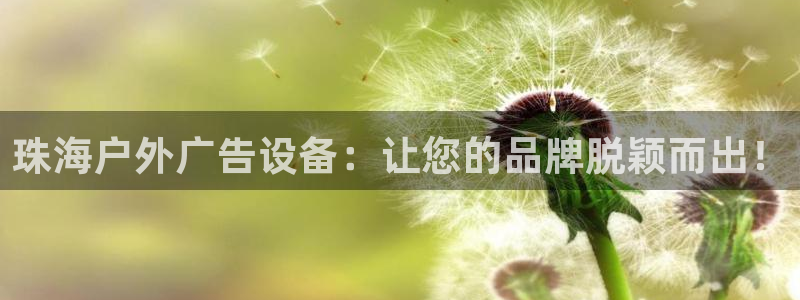 杏宇平台好吗