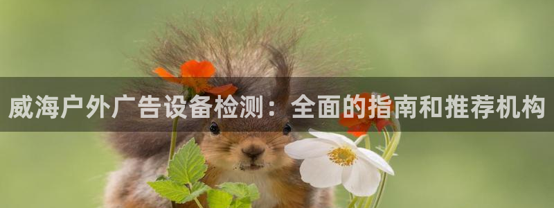杏宇平台是什么