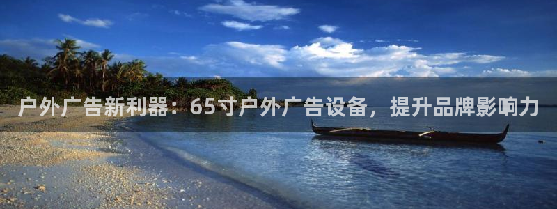 杏宇平台登录步骤图
