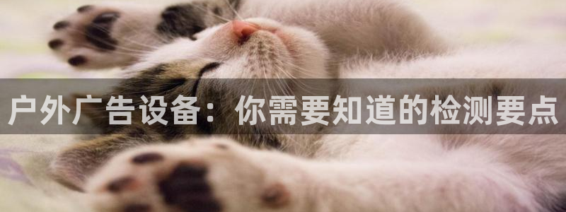 杏宇平台注册登录