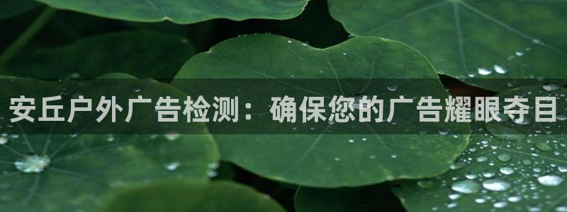 杏宇平台代理怎么赚钱的：安丘户外广告检测：确保您的广告耀眼夺目