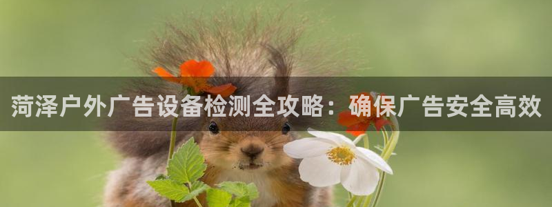 杏宇平台代理怎么样可靠吗：菏泽户外广告设备检测全攻略：确保广告安全高效