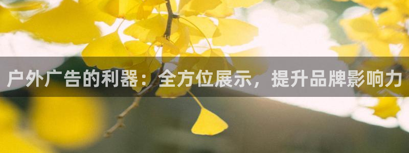 杏宇平台代理怎么样啊