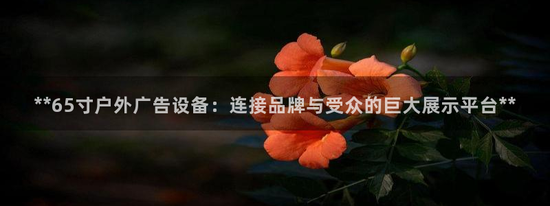 杏宇平台主管：**65寸户外广告设备：连接品牌与受众的巨大展示平台**