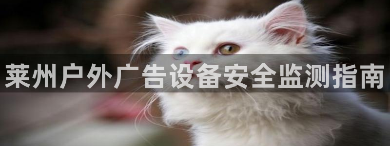 杏宇平台是什么