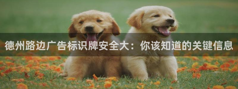 杏宇平台代理怎么样赚钱
