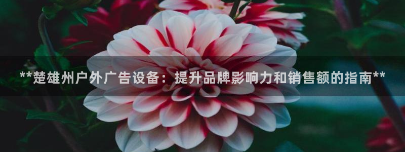 杏宇平台代理怎么赚钱的