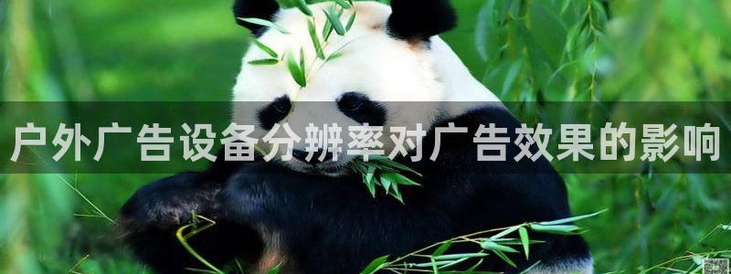 杏宇平台总代理：户外广告设备分辨率对广告效果的影响