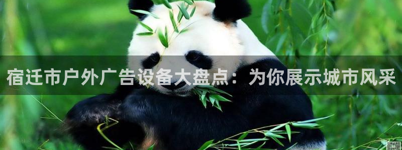 杏宇平台代理