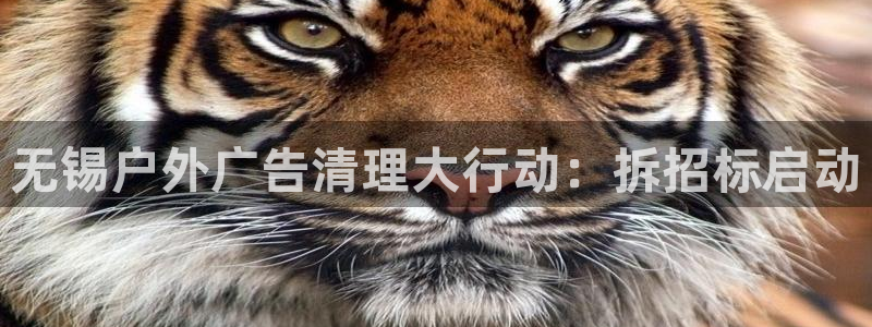 杏宇平台注册登录