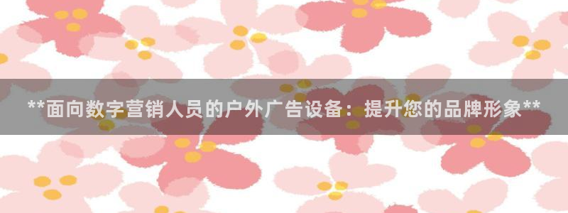 杏宇平台代理多少钱一个：**面向数字营销人员的户外广告设备：提升您的品牌形象**